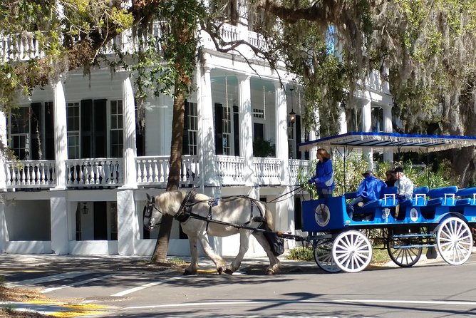 #1 Historical Horse Drawn Carriage Tour - Who should book this ride