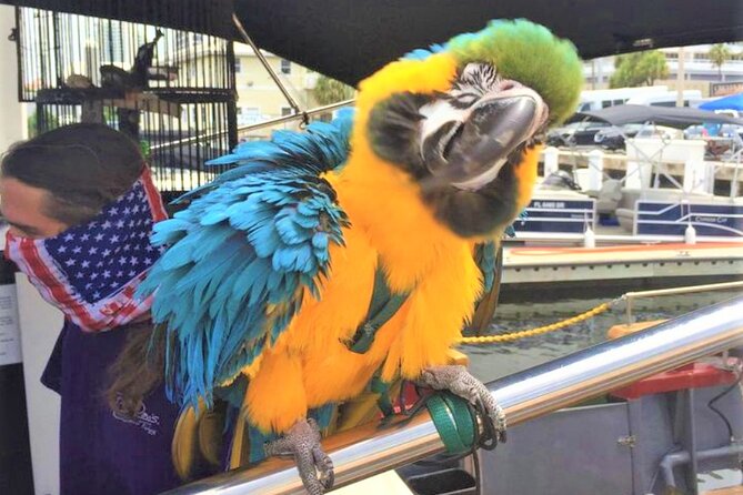 1-Hour Interactive Pirate Cruise (arrive 30 minutes early) - Key points to know before you sail