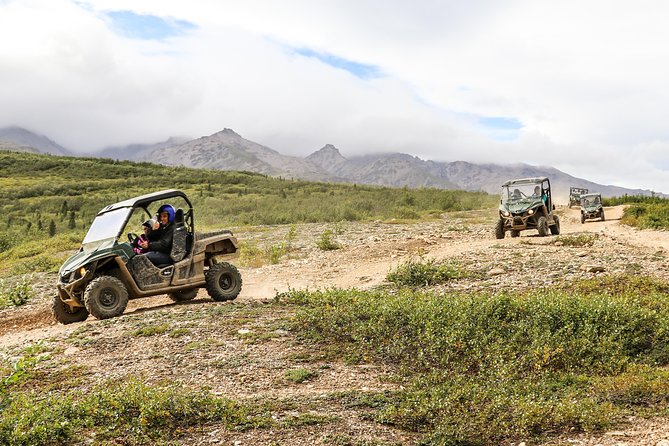 2.5-Hour Denali Wilderness ATV Adventure Tour - Why this Denali ATV ride feels genuinely Alaskan