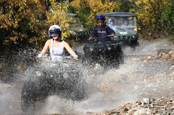 2.5-Hour Denali Wilderness ATV Adventure Tour - Choosing between a single ATV and a side-by-side