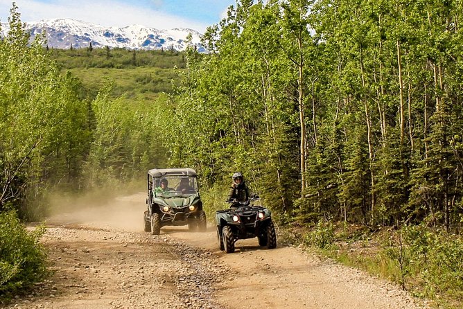 2.5-Hour Denali Wilderness ATV Adventure Tour - What the trail is really like