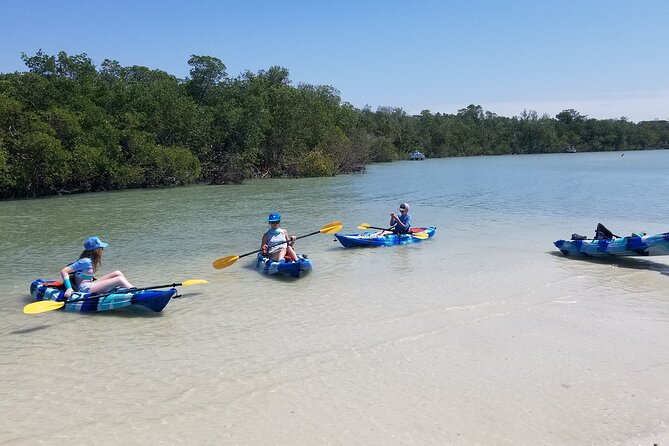 2.5-Hour Guided Group Kayak Tour on Big Hickory Pass - Who should book this kayak tour?