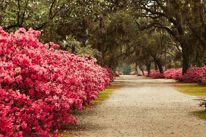 2-Hour Bonaventure Cemetery Walking Tour - How to get the most from your two hours