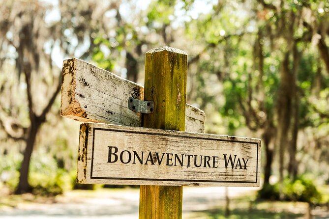 2-Hour Bonaventure Cemetery Walking Tour - Meeting at the red brick entrance