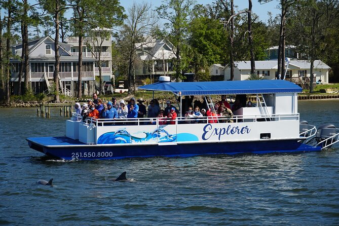 2-Hour Dolphin and Nature Eco Tour from Orange Beach - Quick takeaways from the Orange Beach cruise