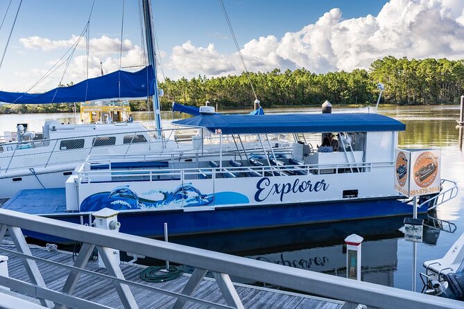 2-Hour Dolphin and Nature Eco Tour from Orange Beach - Starting at The Wharf in Orange Beach