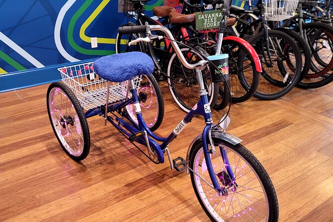 2-Hour Explore Savannah Bike Tour - Johnson Square and the city’s original plan