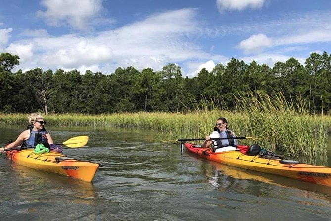 2-Hour Guided Kayak Eco Tour in Charleston - Why Charleston’s marsh deserves two hours