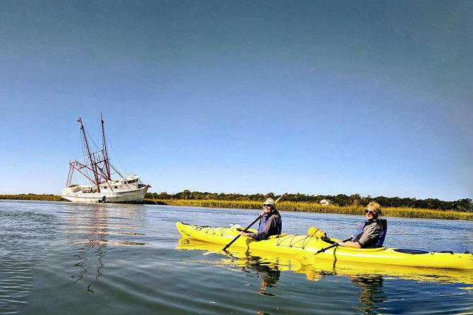 2-Hour Guided Kayak Eco Tour in Charleston - Wildlife watching from a kayak