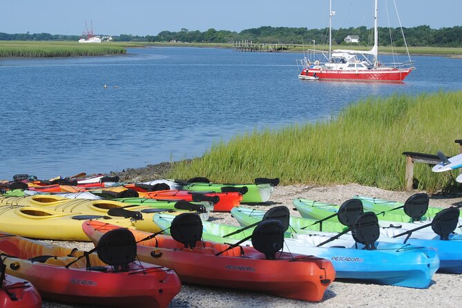 2-Hour Guided Kayak Eco Tour in Charleston - The human side of the Lowcountry