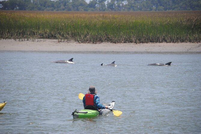 2-Hour Guided Kayak Eco Tour in Charleston - Choosing between a single and tandem kayak