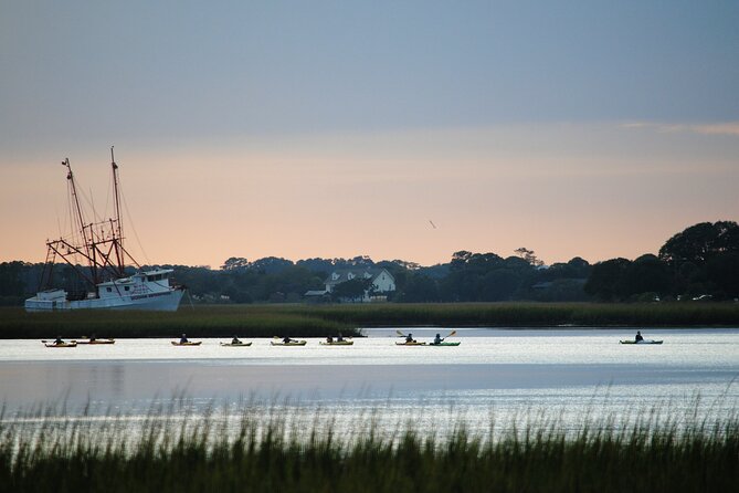 2-Hour Guided Kayak Eco Tour in Charleston - Timing, weather, and the best clothing