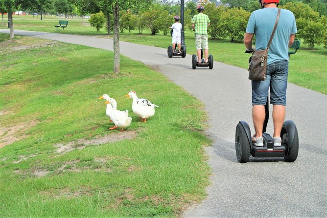 2-Hour Guided Segway Tour of Huntington Beach State Park in Myrtle Beach - Riding beside the lake and through the preserve