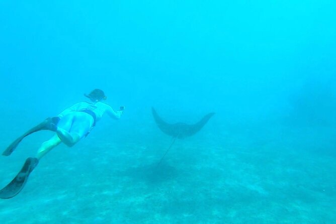 2 ½ - Hour Guided Snorkel Tour of Phil Foster park, Free Videos! - How long the experience really takes