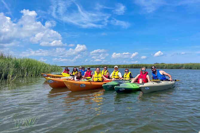 2-Hour Hilton Head Guided Kayak Nature Tour - What the naturalist guide adds