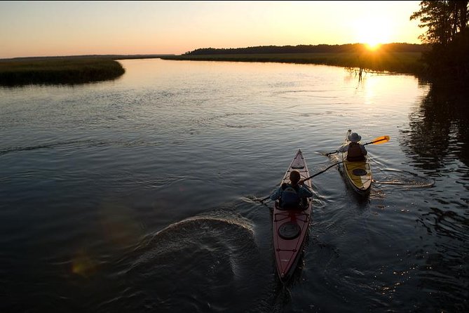 2-Hour Hilton Head Guided Kayak Nature Tour - Wildlife sightings, from dolphins to spoonbills