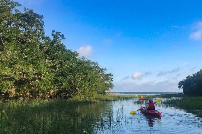 2-Hour Hilton Head Guided Kayak Nature Tour - Why tide and timing matter