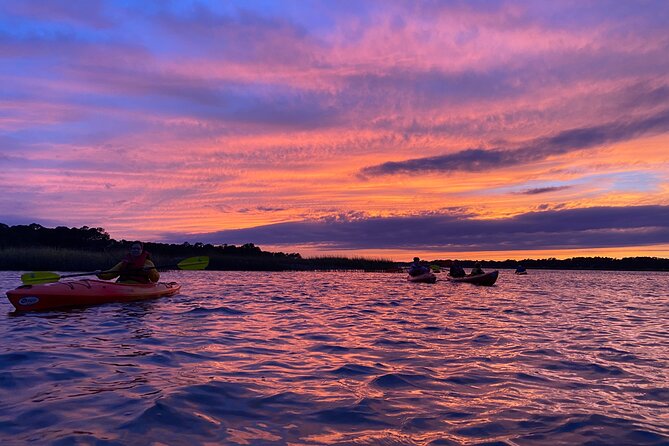2-Hour Hilton Head Guided Kayak Nature Tour - Who will enjoy this most