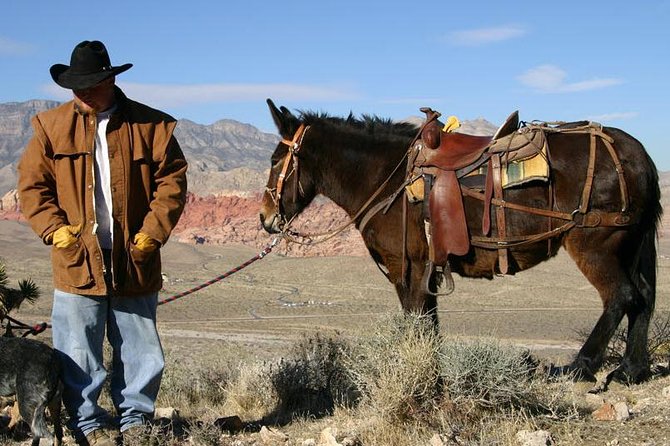 2-Hour Horseback Riding through Red Rock Canyon - Guides who shape the day