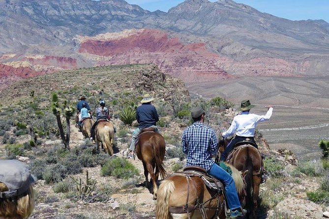 2-Hour Horseback Riding through Red Rock Canyon - Meeting the horses and wranglers