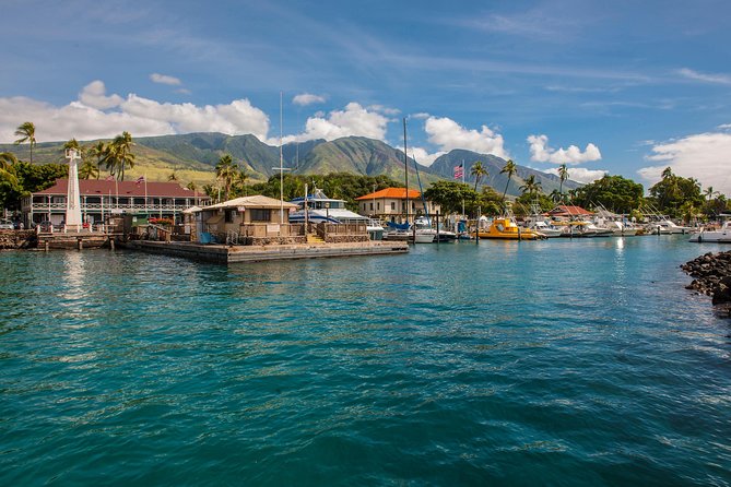 2-Hour Oahu Whale Watch from Ala Wai Harbor, Waikiki - Leaving Ala Wai Harbor for open-water views