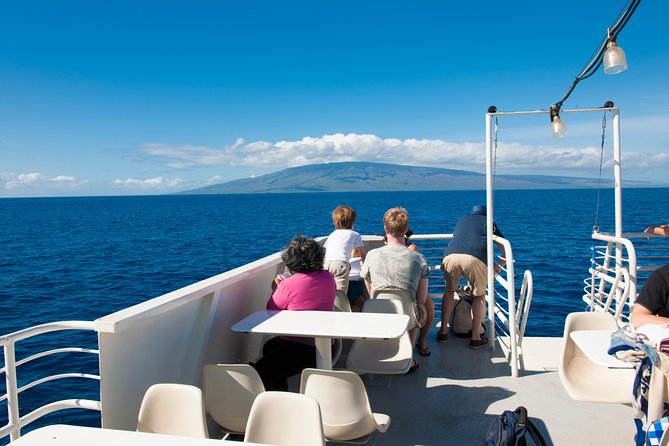2-Hour Oahu Whale Watch from Ala Wai Harbor, Waikiki - Rough water, seasickness, and picking your spot