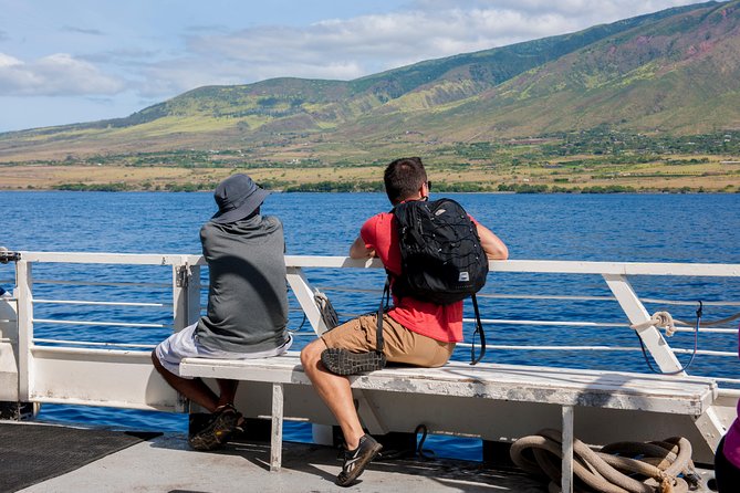 2-Hour Oahu Whale Watch from Ala Wai Harbor, Waikiki - What the $49.95 price really buys you