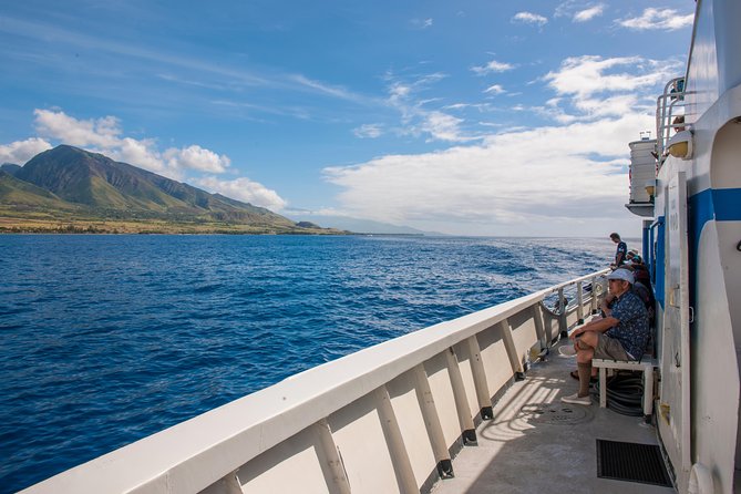 2-Hour Oahu Whale Watch from Ala Wai Harbor, Waikiki - Who will enjoy this two-hour cruise most