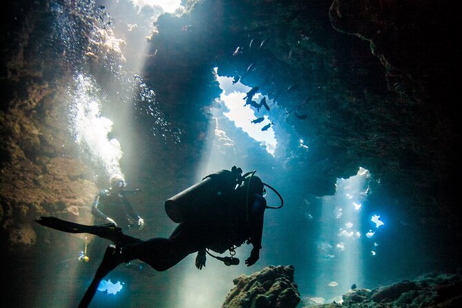 2 Tank Lanai Cathedral Scuba Dive Via Boat for Certified Divers - Key Things to Know Before You Book