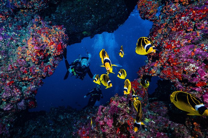 2 Tank Lanai Cathedral Scuba Dive Via Boat for Certified Divers - The 6:30 AM Start at Lahaina