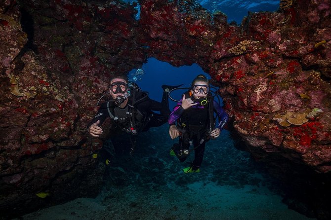 2 Tank Lanai Cathedral Scuba Dive Via Boat for Certified Divers - Entering the Cathedral Caverns
