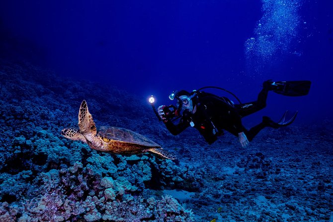 2 Tank Lanai Cathedral Scuba Dive Via Boat for Certified Divers - Gear, Briefings, and Crew Support