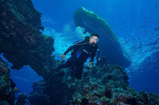 2 Tank Lanai Cathedral Scuba Dive Via Boat for Certified Divers - Is $306.89 a Fair Price?