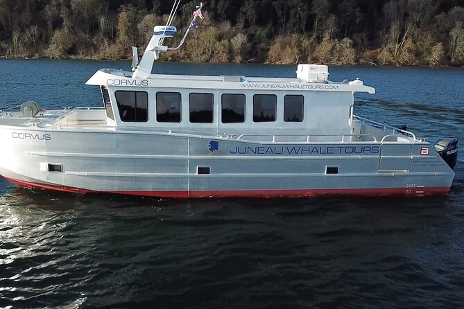3.5 Hour Crowd-Skipping Whale Tour in Juneau, Alaska - Key points at a glance