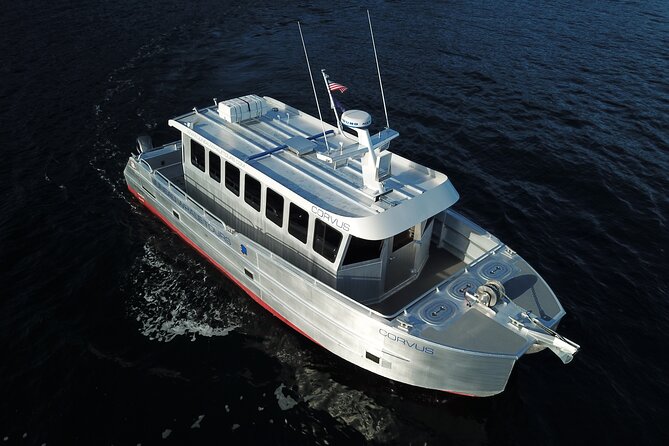 3.5 Hour Crowd-Skipping Whale Tour in Juneau, Alaska - Auke Bay and the start of the whale search
