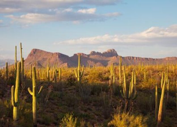 3 Hour Guided TomCar ATV Experience in Sonoran Desert - Key points before you book