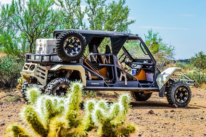3 Hour Guided TomCar ATV Experience in Sonoran Desert - Getting out to learn about the Sonoran Desert