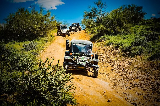 3 Hour Guided TomCar ATV Experience in Sonoran Desert - Is $236.62 a fair price?