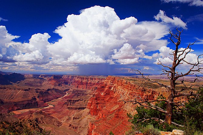 3 Hour Off-Road Sunset Safari to Grand Canyon with Entrance Gate Detour - Grandview Point and the changing light