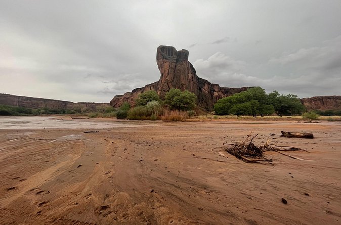 3-hour Private Tour - Price, group size, and the backcountry fee