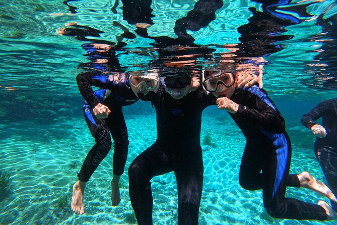 3 hours Manatee Swim Tour in Florida - Is snorkeling difficult for beginners?