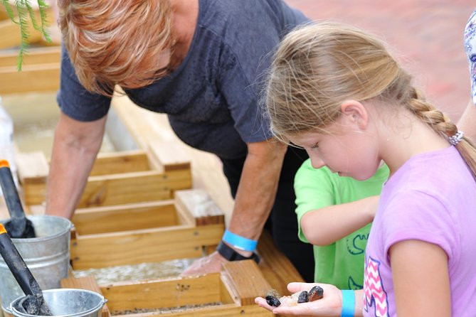30-Minute Airboat Ride, Lunch, Gem Mining and Park Admission - Group size, comfort, and weather