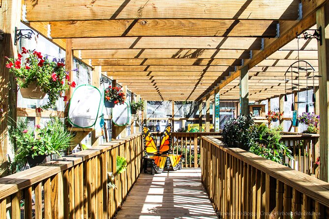 30-Minute Airboat Ride near Orlando - Add time for Native American exhibits and gem mining