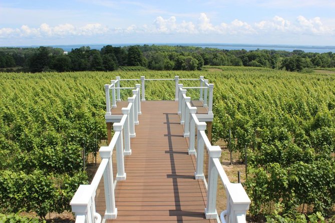 5-Hour Traverse City Wine Tour: 4 Wineries on Old Mission Peninsula - Timing, pickup, and small details that matter