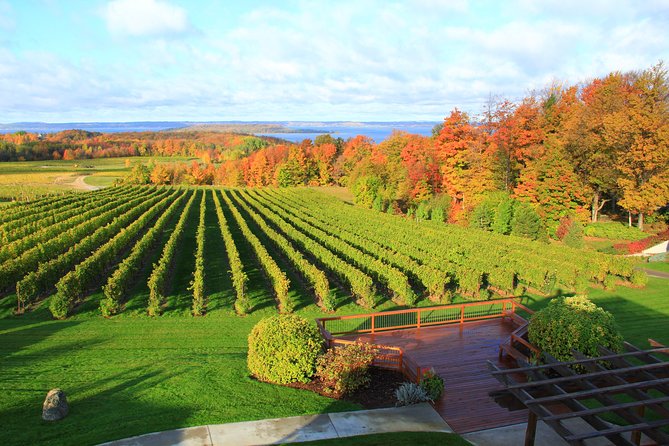 5-Hour Traverse City Wine Tour: 4 Wineries on Old Mission Peninsula - Chateau Chantal brings the big views first