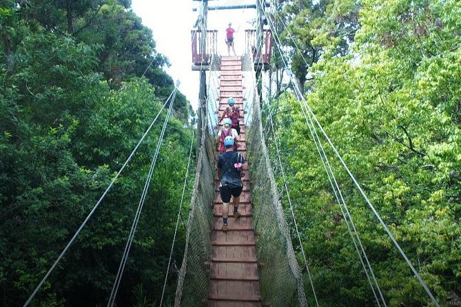 6 Dual-Zipline Mountain Adventure in Maui - Weather can change the whole experience