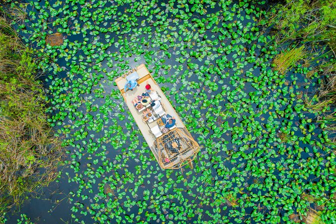 60 min. Everglades Airboat ride & pick-up ,small group +pro guide - The real value of a $78 Everglades outing