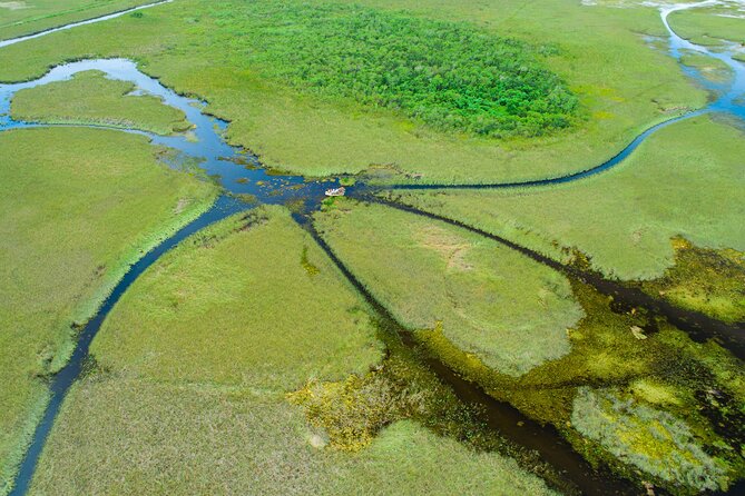 60 min. Everglades Airboat ride & pick-up ,small group +pro guide - The drive from Miami is part of the tour