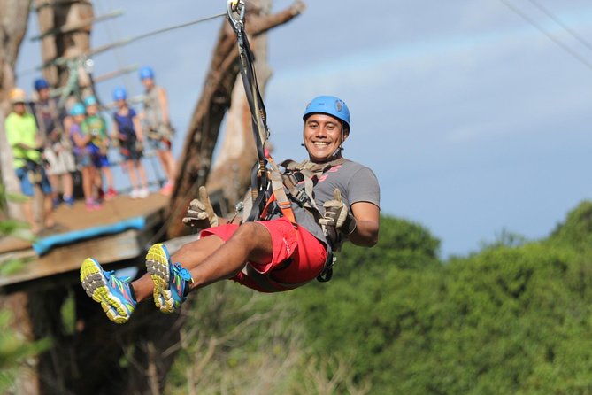 7-Line Maui Zipline on the North Shore - Seven ziplines through the eucalyptus trees