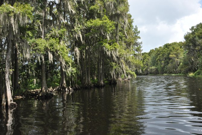 90 minute Everglades Airboat Tour near Orlando Florida - Best start time and planning your day